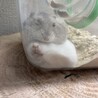 お砂場の隅っこでおやすみなさい。