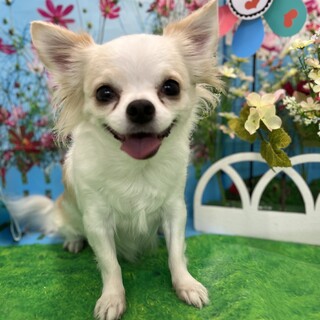 幸せみつかりました！