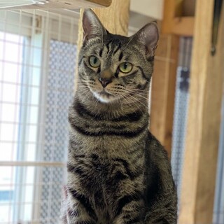 好奇心旺盛なビビり「カッテージ」くん❤