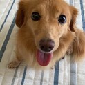 探しています