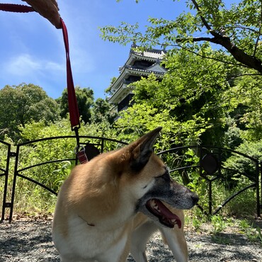 の写真