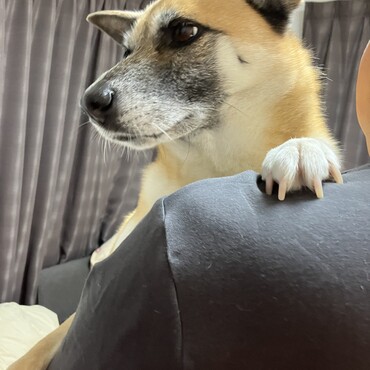 の写真