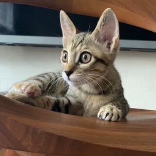 元気いっぱい★三姫ちゃん