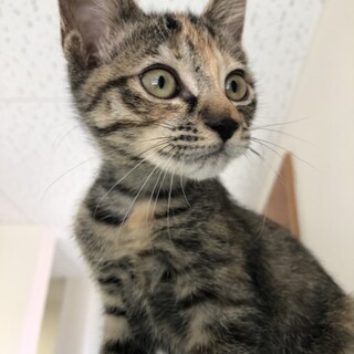 天真爛漫の遊び大好きっ子♡