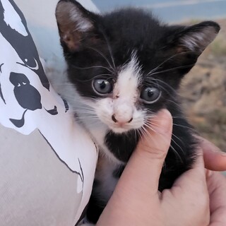 １ヶ月❣️人が大好きな女の子