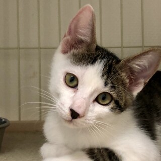 おっとり甘えん坊のボクです♡