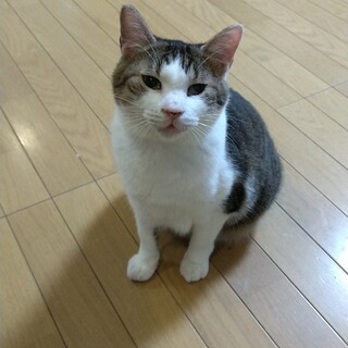 風太家族ができました。