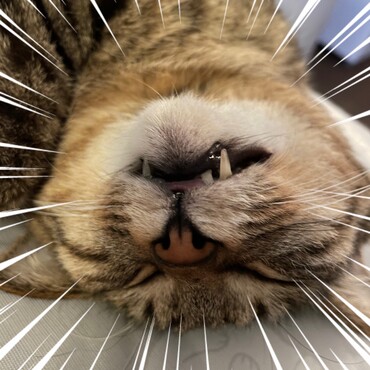 の写真