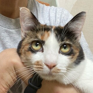 ちょっぴり不思議ちゃんな「ピクニック」ちゃん❤