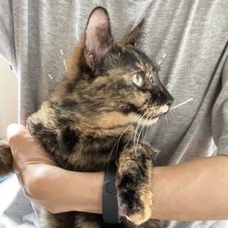 明るいひょうきん娘「サンデー」ちゃん❤