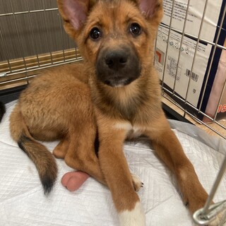 【募集】ダイス♂の幸せを探しています！