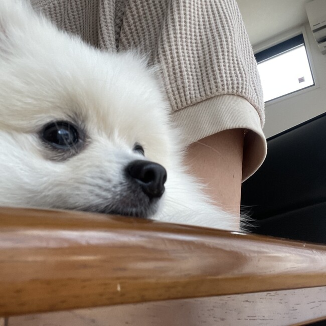 みぃかぷのカバー写真