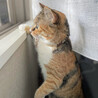 mayuko.w