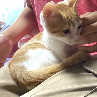 イチゴちゃん♪