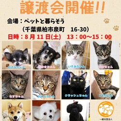 ペットと暮らそう譲渡会