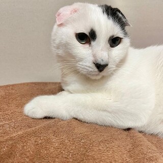 とっても甘えん坊10歳男の子