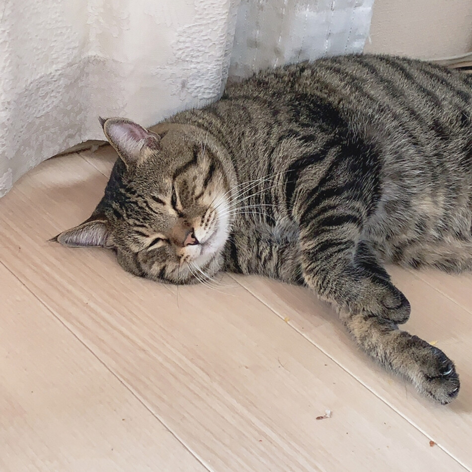 えるのカバー写真