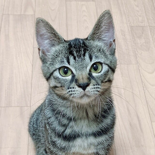 あみちゃん★活発で遊び大好きな元気っ子