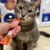 やまりこ。