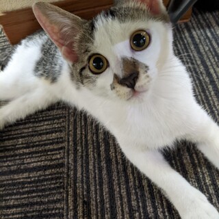 前髪ぱっつんがキュートなはじける炭酸ガール♡