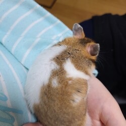 「今日のべりたん」サムネイル2