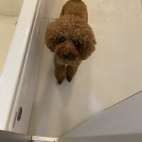 まぶや