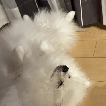 ヘソ天♡♡
