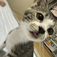 佐々木まめ