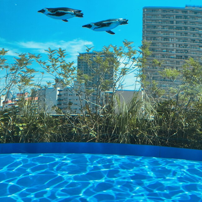 あいあい0218のカバー写真