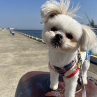 莉音（りおん）