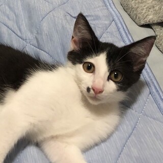 見た目はクセ強め中身はおっとり男子のキタロー