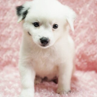 トライアル調整中になりました！