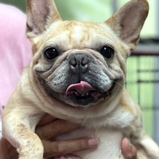 22-W477 可愛すぎ～～～♪