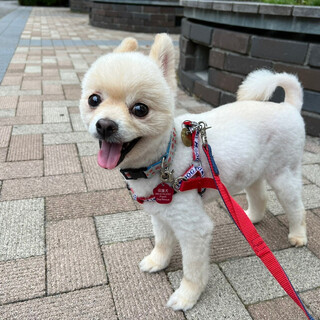 明るく元気なえりちゃん　推定5〜6歳