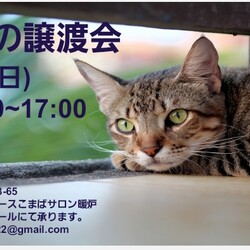 8/14 本気の譲渡会 サムネイル1