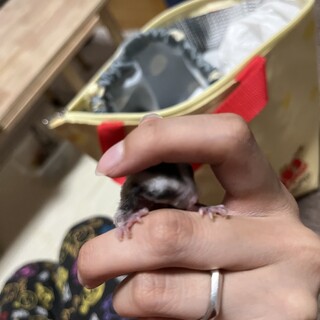 一旦ご応募ストップしてます。