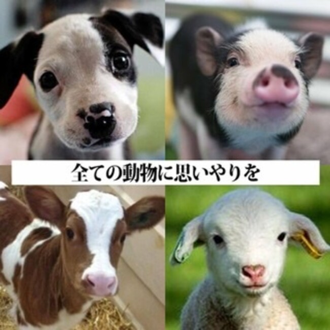 ビーガンのカバー写真