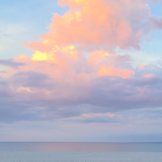 一威のカバー写真