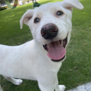 トライアル決定！