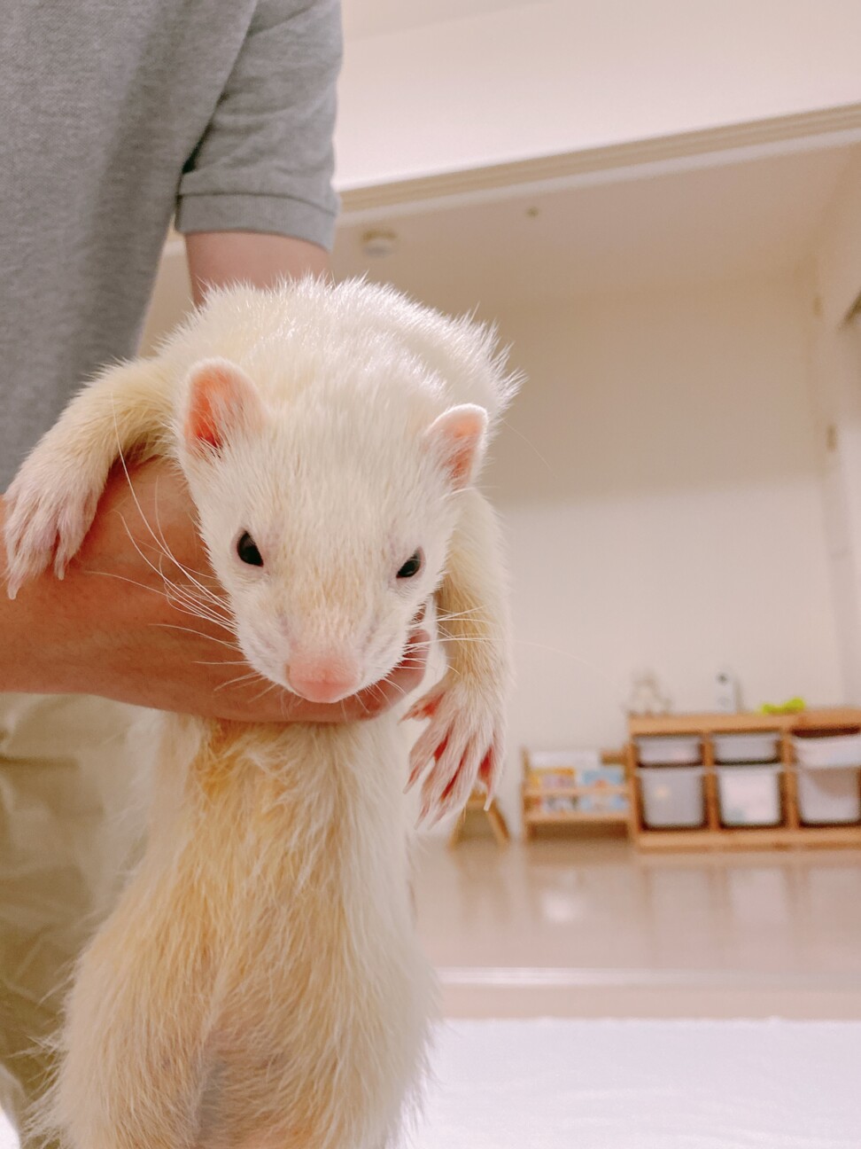 【里親さま決定しました】 サムネイル2