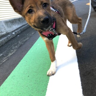 めちゃくちゃ陽気です✴︎家族を探してます。