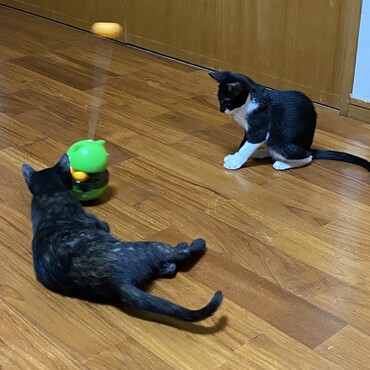 の写真