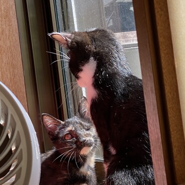 の写真