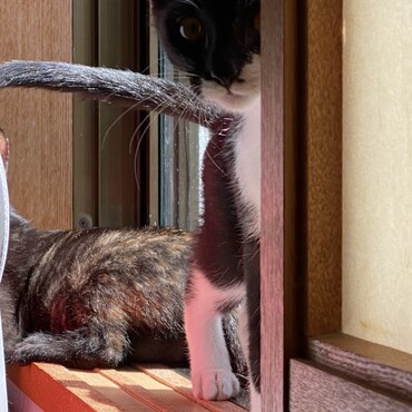 の写真