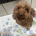 応募が多いため募集を一時止めさせていただきます。