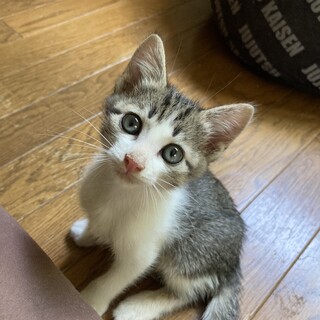 元気にいっぱい☆タケオくん