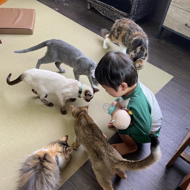 えなりむのカバー写真