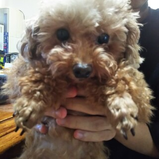 素敵なご縁を頂きました☺️