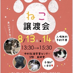 ねこの譲渡会（名古屋市中村区）