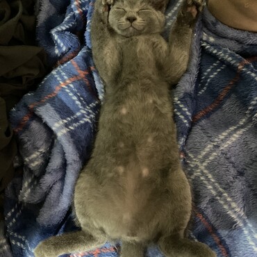 の写真